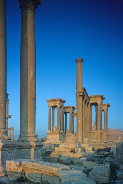 Remains of Columns on the Colonnaded Street by Roman